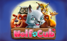 Výherní automat Wolf Cub